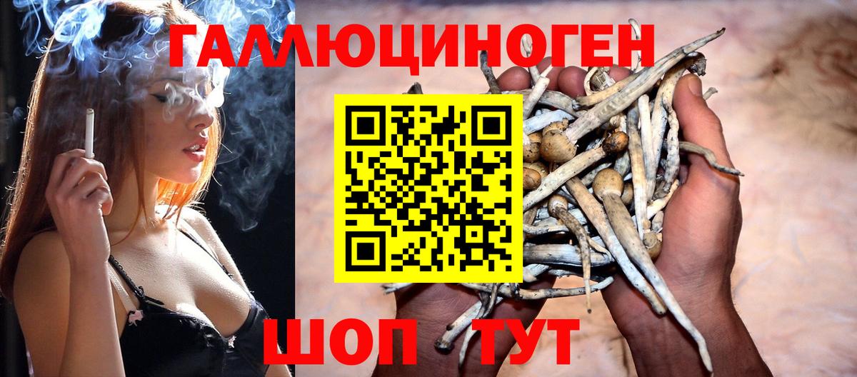 купить   Вход с VPN  Галлюциногенные грибы Psilocybine cubensis  Сургут  Псилоцибиновые грибы Psilocybine cubensis 